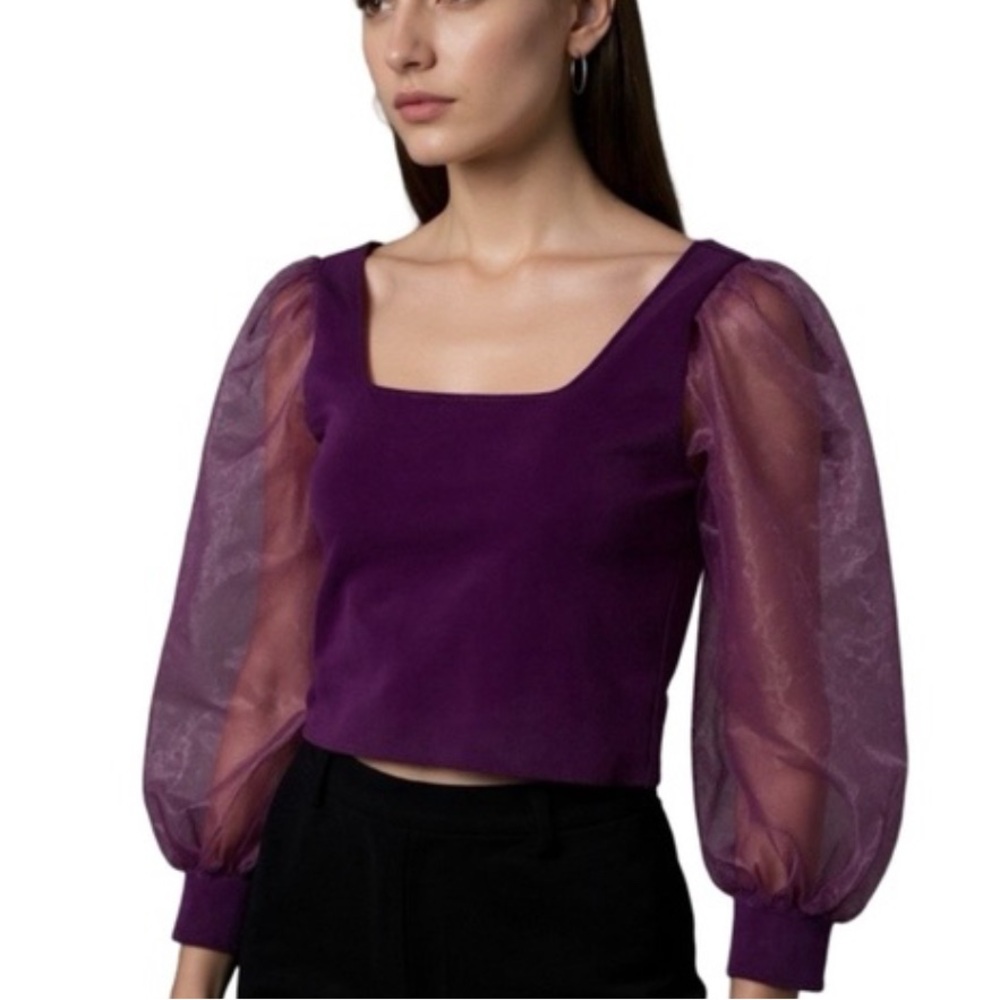 House of Harlow 1960 Purple Sheer Sleeve Blouse
